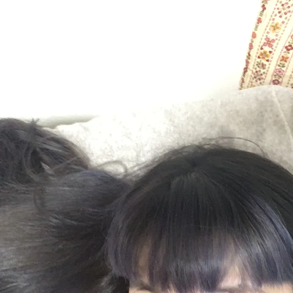 f:id:tttttahiti:20160812010543j:plain f:id:tttttahiti:20160812010543j:plain