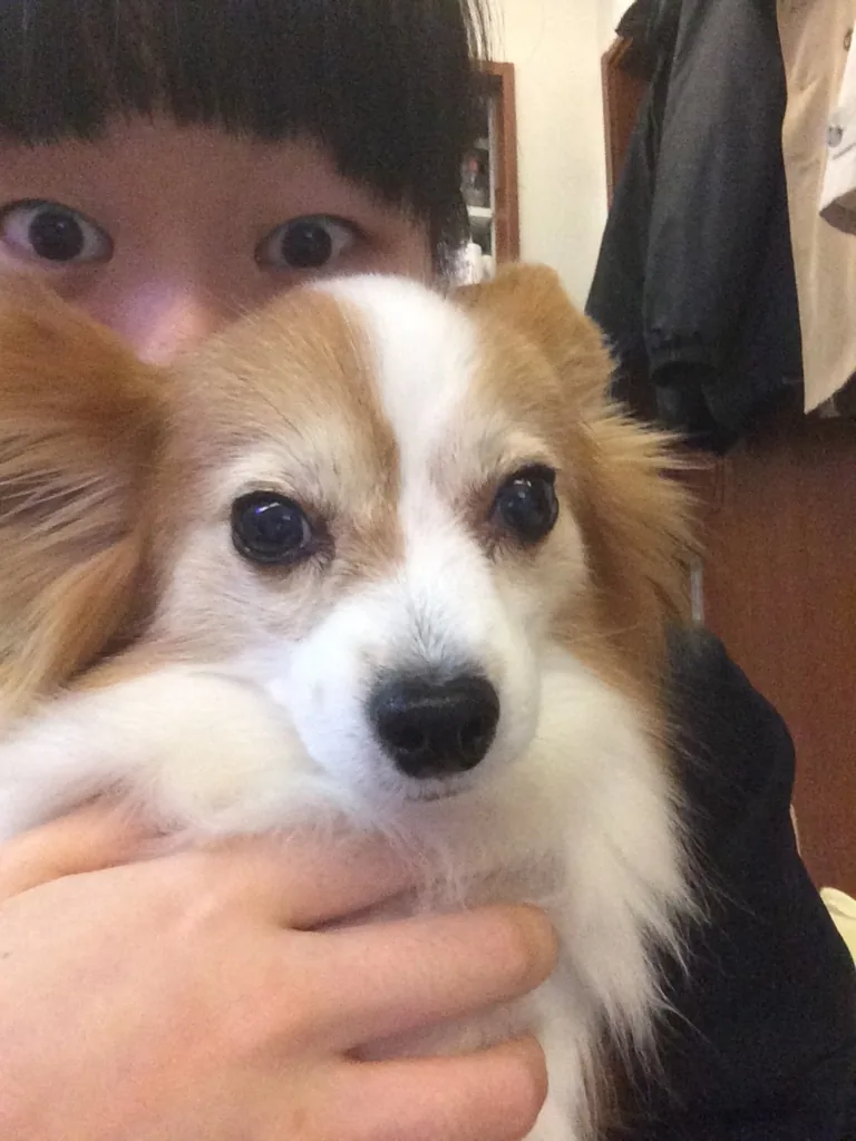f:id:tttttahiti:20150210202243j:plain f:id:tttttahiti:20150210202243j:plain
